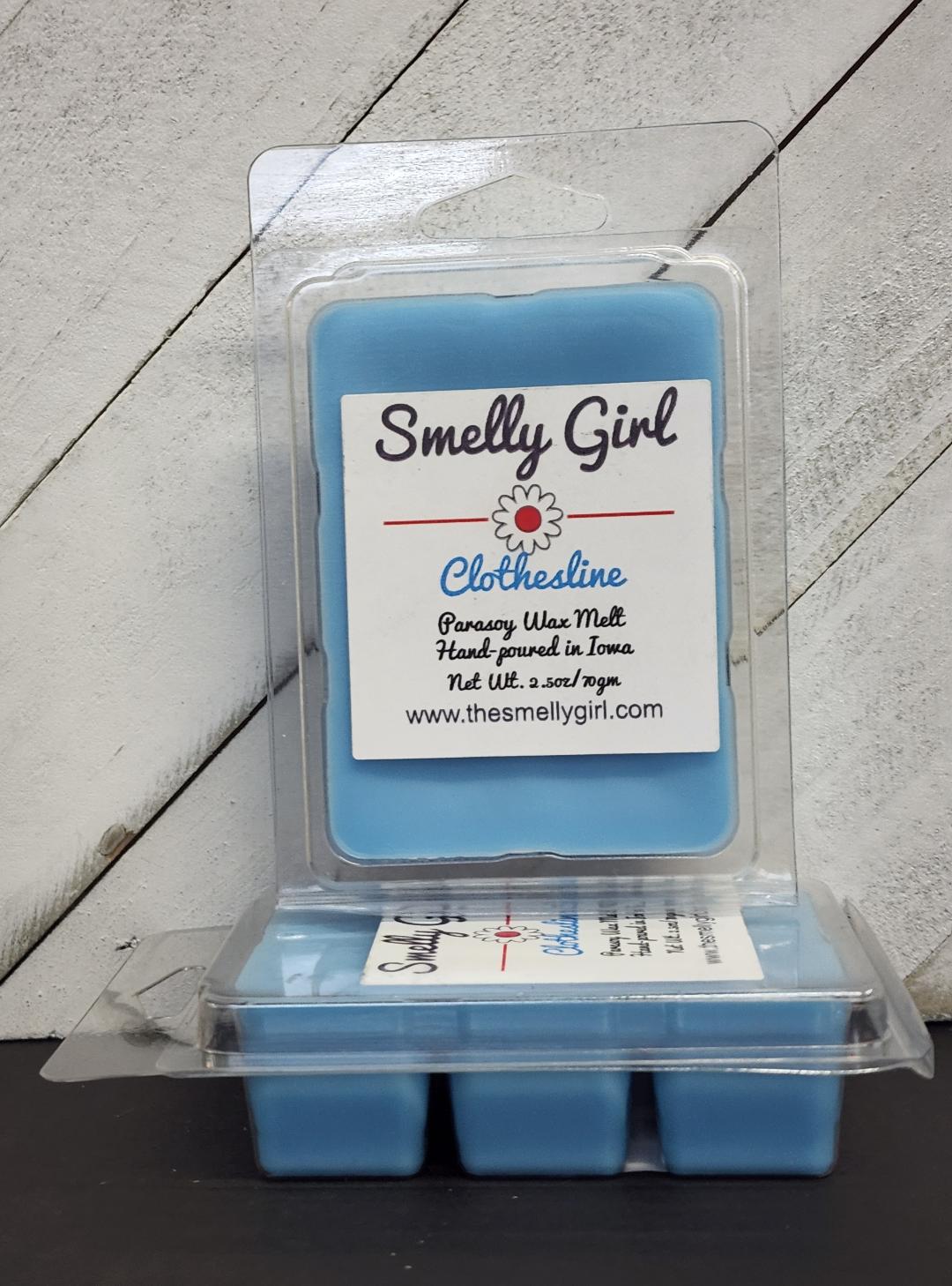Clothesline Wax Melt