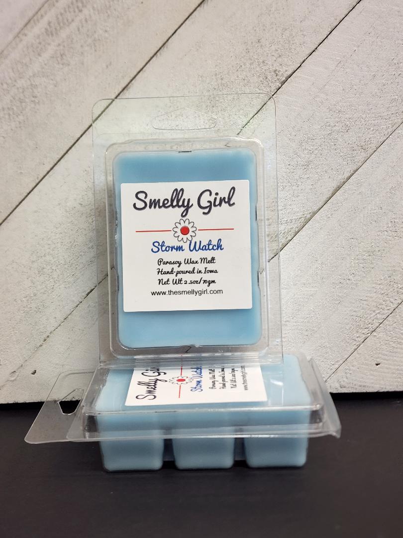 Storm Warning Wax Melt