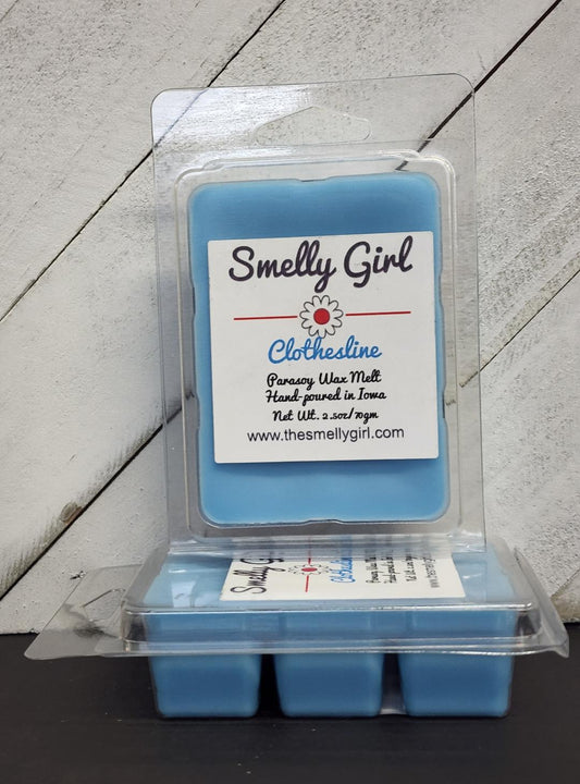 Clothesline Wax Melt
